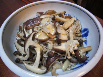 hosikinoko03.JPG