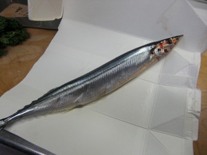 PICT01.JPG
